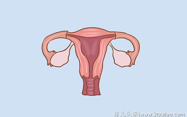 备孕的女性要注意：早孕和月经前兆是有区别的，千万不要弄错了