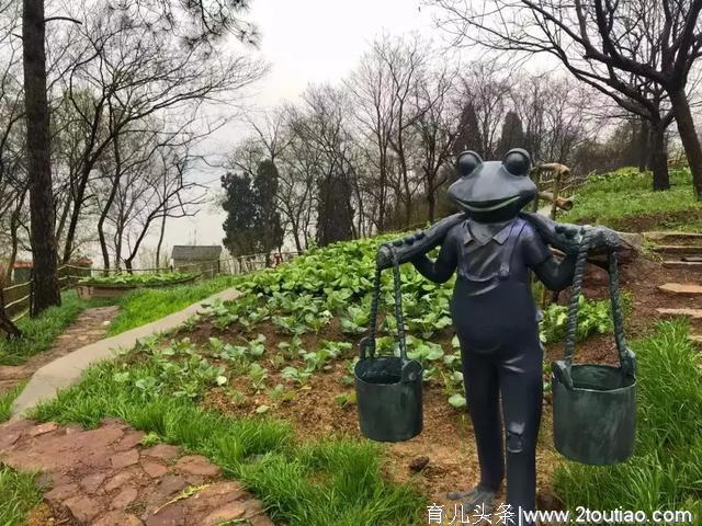 比游乐场好玩！2019必火的超级亲子度假村，一个比一个惊艳！