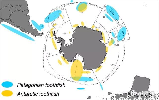 世界顶级海鲜大盘点，这种鱼从每斤几分钱暴涨至每斤数千元