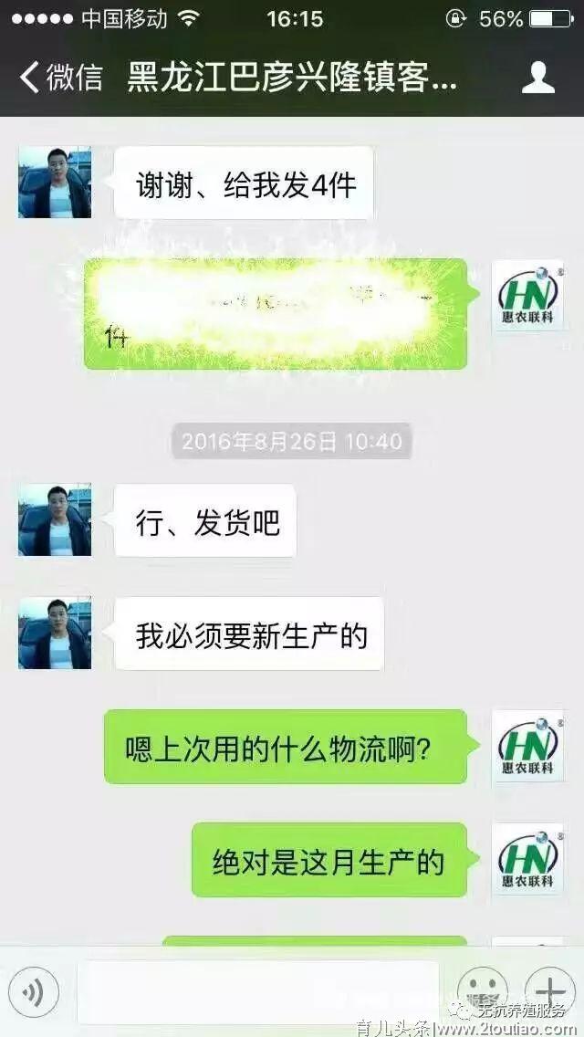 养猪妙用葡萄糖，母猪产后喂一点，能达到意想不到的效果！