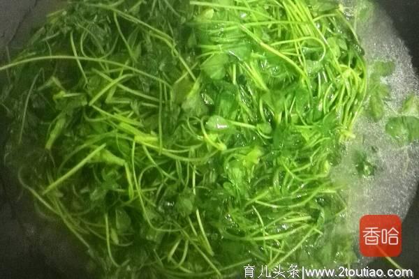 这野菜被誉为“食物之父”，胃不好贫血的人要多吃，2块钱一大把