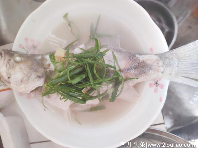 蒸鲈鱼注意这几步！蒸出来的鲈鱼肉质细腻，味道鲜美，全家的最爱