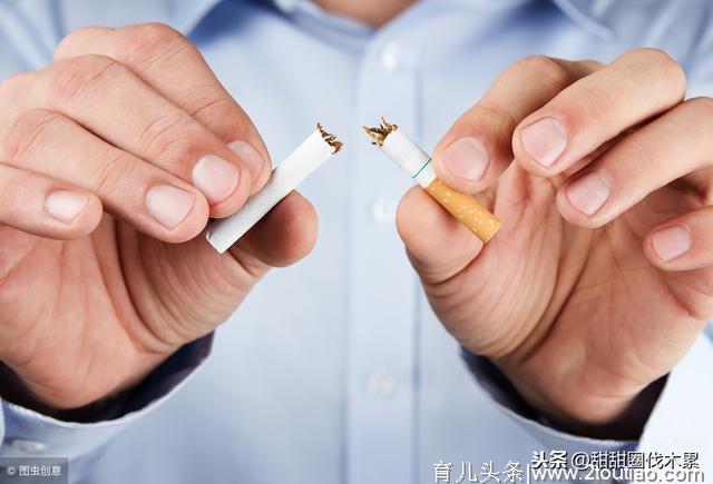 男性备孕要禁烟禁酒吗？备孕要做好这4点，生个健康乖宝宝