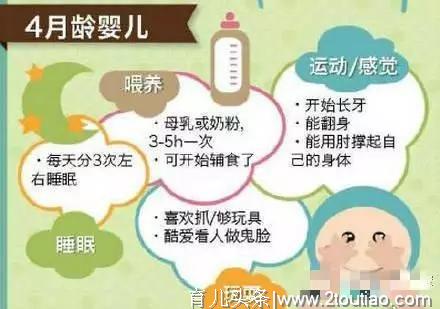 掌握0-12个月宝宝每月生长发育规律，育儿更轻松