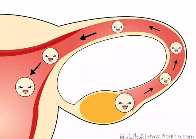 想如何才能在最短的时间怀上宝宝，用这个方法，备孕成功率最高