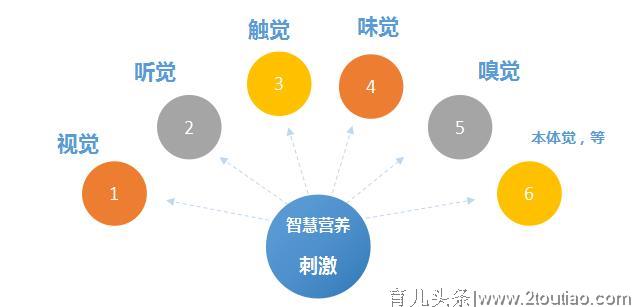 请珍惜，宝宝早教只有一次！科学说早教-下期