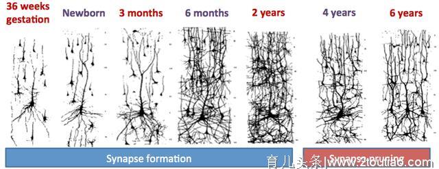 请珍惜，宝宝早教只有一次！科学说早教-下期