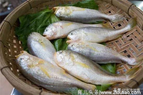 这种东海的小鱼，为什么会引爆广东地区的食客？