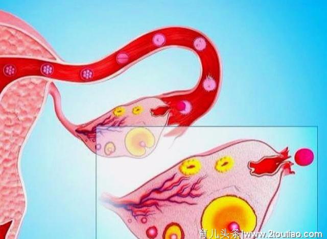 备孕一个月就怀孕可能吗？当然！想尽快怀孕，技巧很重要！