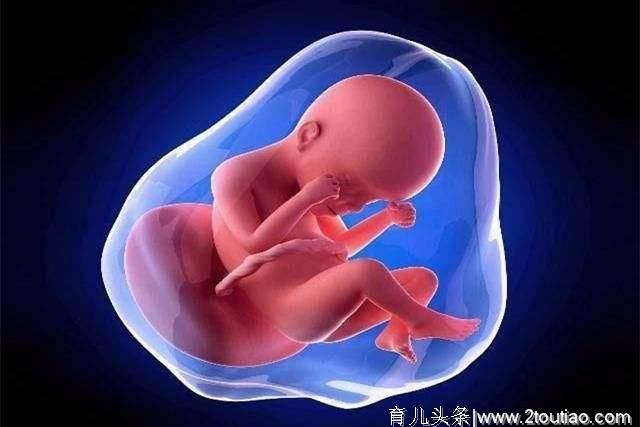 孕期同房有讲究，避开这两个阶段，对孕妇和胎儿都有利！