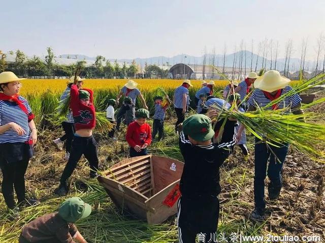 这三个亲子休闲农庄如何做到上万客流量？