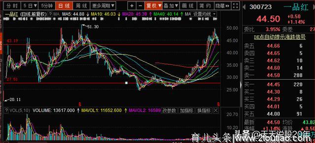 一品红：毛利率超过80%，儿童药产品龙头，护航儿童健康成长