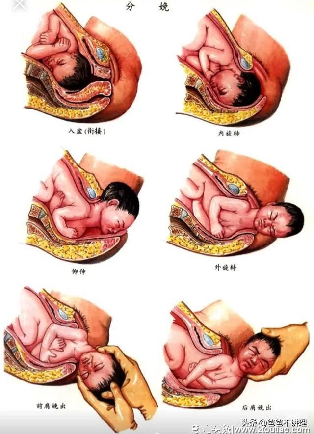 胎儿什么时候入盆？有5个问号，你可以了解一下。