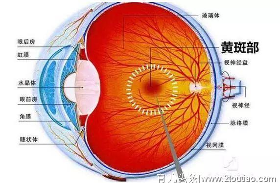 又一个1岁大的宝宝眼睛失明，年轻父母们都长点心