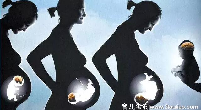 母婴健康系列：孕期压力大，宝宝也遭殃，孕期压力影响婴儿菌群