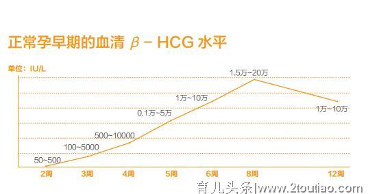 孕妈三两事 之 HCG、孕酮和流产的“三角关系”