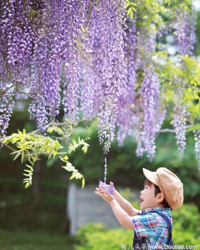 日本妈妈偷拍儿子3年，从摄影白痴逆袭成摄影大神美成宫崎骏童话