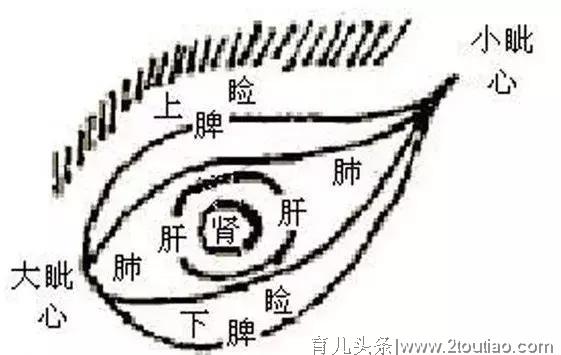 儿科名医许尤佳：孩子长“针眼”，应该怎么办？家长要留意