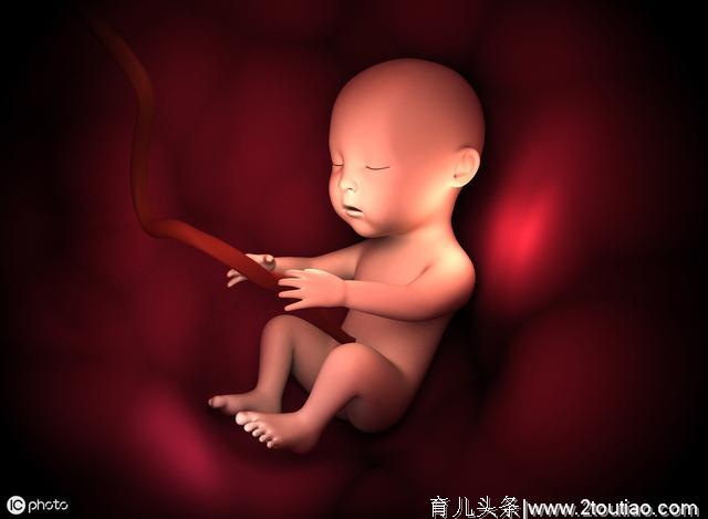 胎心在孕妇肚脐上下方，多数是胎位不正，胎位正，胎心在这个位置
