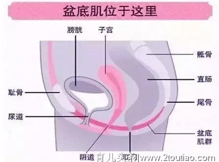 女明星自曝产后尿失禁！比生孩子更可怕的是这些后遗症…