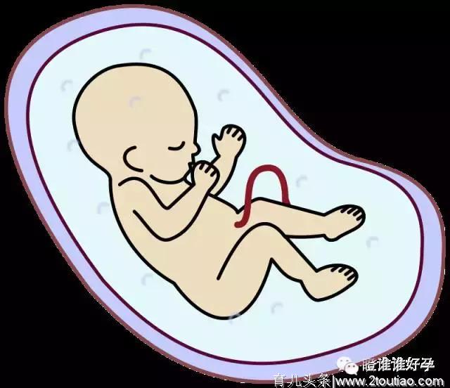 孕期每个月，胎宝宝都有想对麻麻说的话，激萌！（尤其0-3个月）