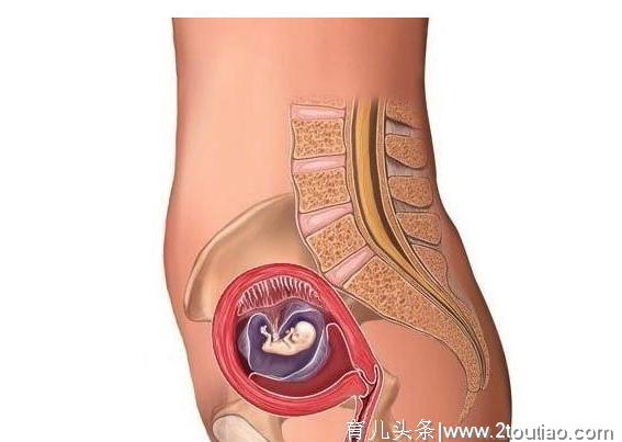 怀孕真有那么辛苦？5张图带你了解孕期过程、注意事项，真不容易