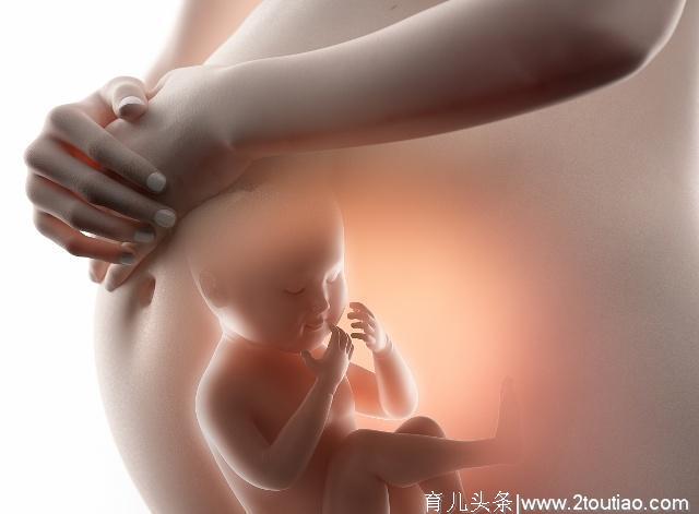 孕妈孕期能否同房？育儿专家吐露：适当“活动”有助胎儿发育
