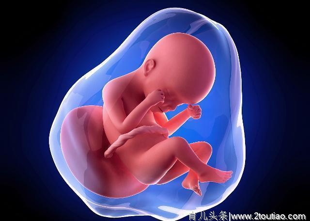孕期肚子太大，除了胎儿大外，也可能是这3种情况