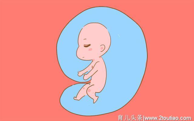 孕期这个时间段，胎动最频繁，胎动的这几种表现很有趣