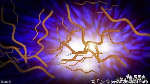 关于儿童与幽门螺杆菌感染，这是一篇科学全面的科普