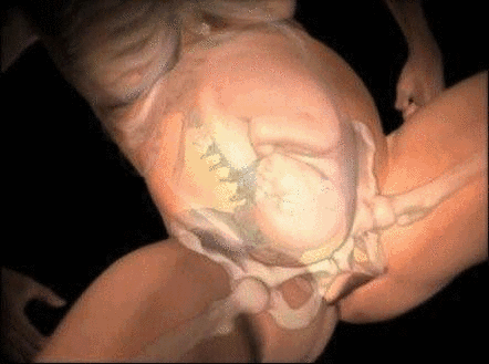 孕妇须知：分娩两个小时了，宝宝的头还没有下来，会有什么危险吗