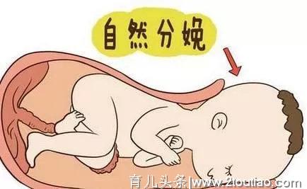 7大因素决定你能不能顺产！孕期妈妈速来围观