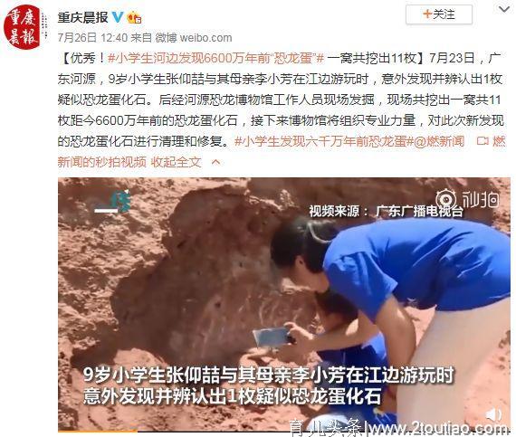 男孩河边发现6600万年前恐龙蛋：见过世面的孩子，未来赢得漂亮