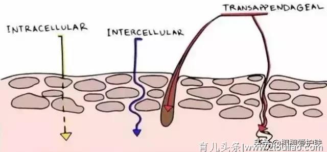 孕妇如何护肤？ 孕期能用什么？