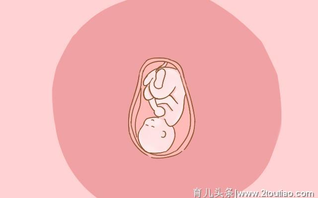 胎儿在妈妈肚子里反应周期是如何的？这些孕期知识准妈妈需要了解