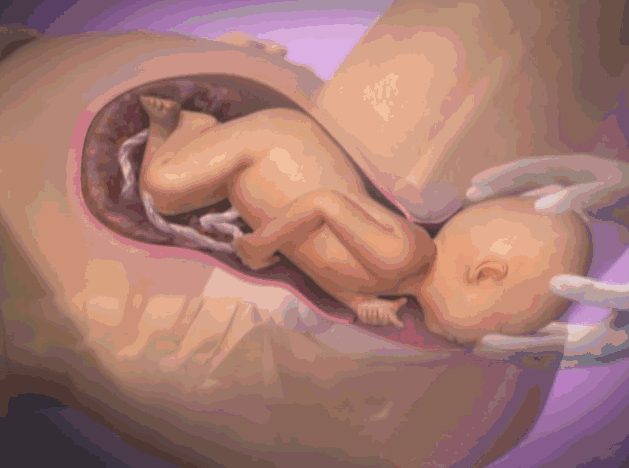 顺产分娩时，胎宝宝为“爬出来”做了哪些努力？答案暖心