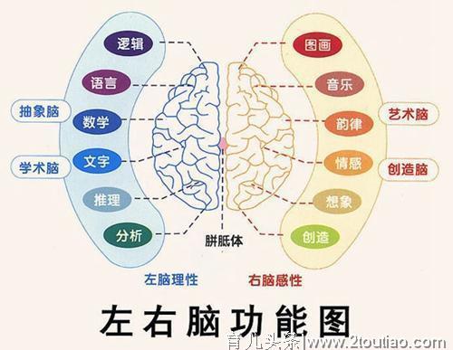 开发右脑能让孩子更聪明？错了，能提升孩子智力的方法在这里