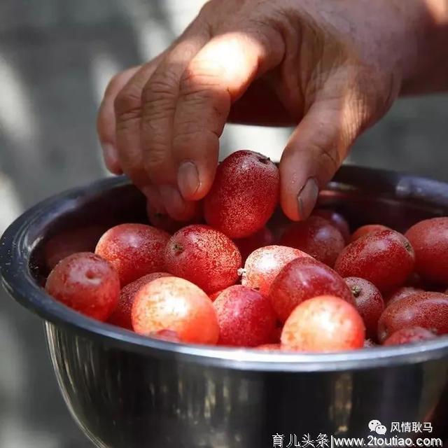 芒市人无酸不欢，这些酸是一辈子的乡愁！