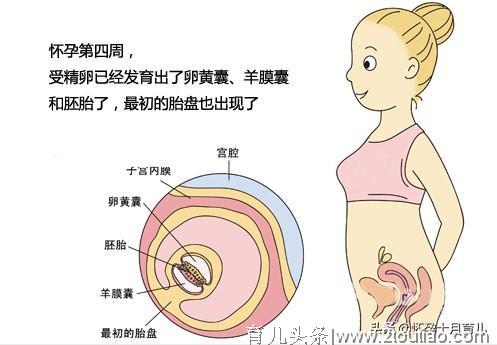 怀孕1个月的症状，孕妈需注意这些重要事项，有利于胎儿健康发育