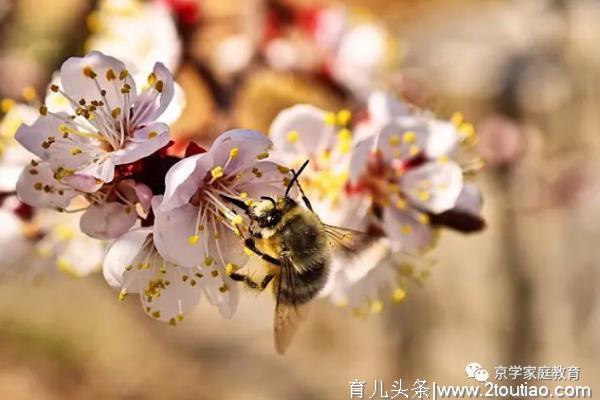 羡慕别人家的孩子优秀？人家父母有多努力，你知道吗