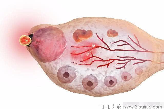 备孕多久怀孕，属于正常？想要快速怀孕，不妨试一试这3个方法！