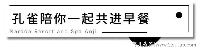 住亲子主题房，畅玩300亩安吉自然博物馆！20种儿童设施一站遛娃