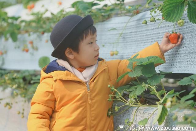 最“莓”好的亲子时光，原来摘草莓这么好玩