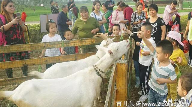 乐活星球亲子农场：春天开始的地方