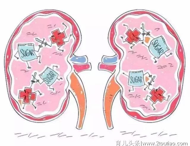 护肾从娃娃抓起！孩子身体发生这些变化，可能是肾脏健康预警信号
