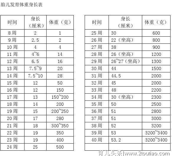 怀孕3个月胎儿有多大？孕妈妈看上去没有显肚子，正常吗？