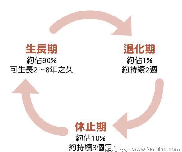 女人产后头发油、头皮痒、脱发？可能是身体出了这3个问题