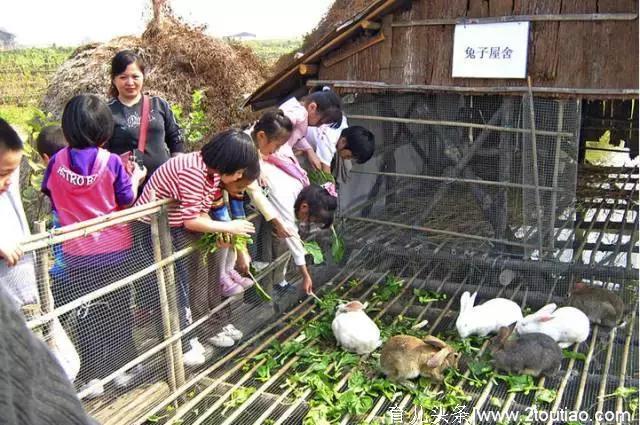 能拥有这六种发展模式的亲子农业项目，老板全都赚翻了!