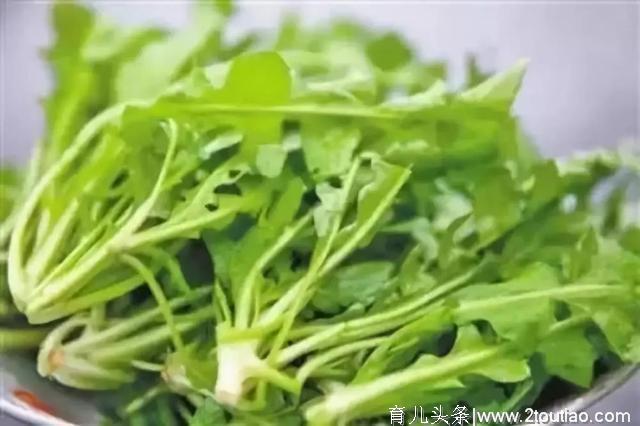 3月吃什么蔬菜好？这13种时令蔬菜要多吃哦！