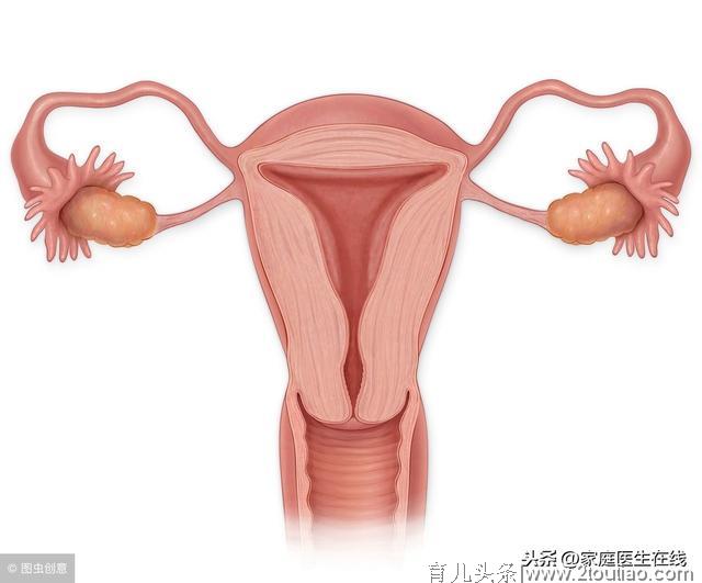 女人私房话：5个时期不适合怀孕，女人们要三思！